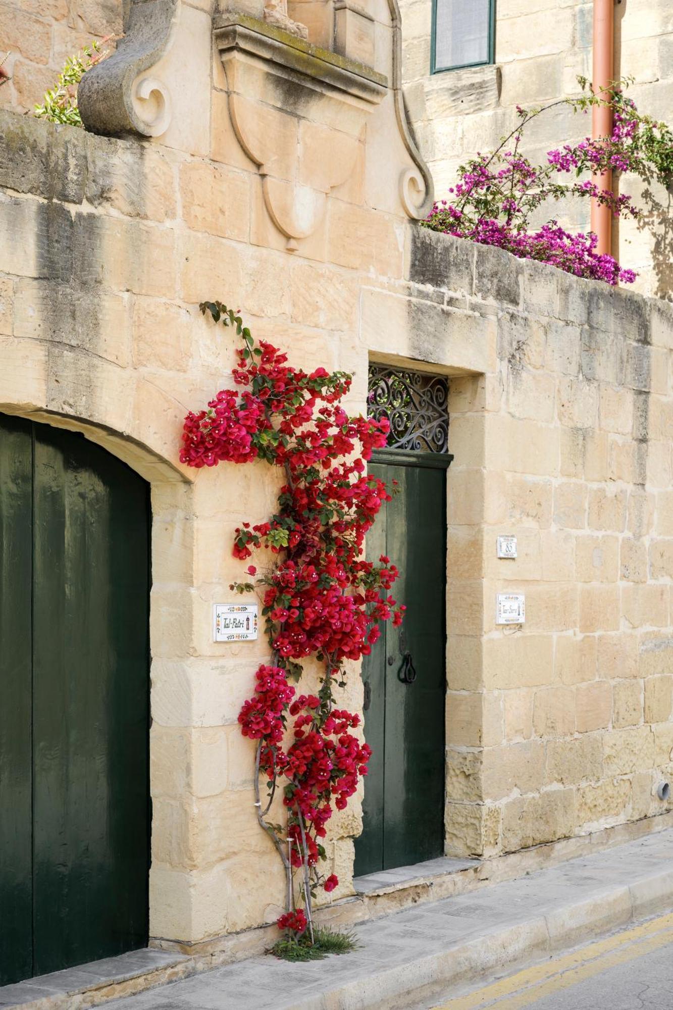Ghammar Dar Tal-Patri Farmhouse With Private Pool מראה חיצוני תמונה